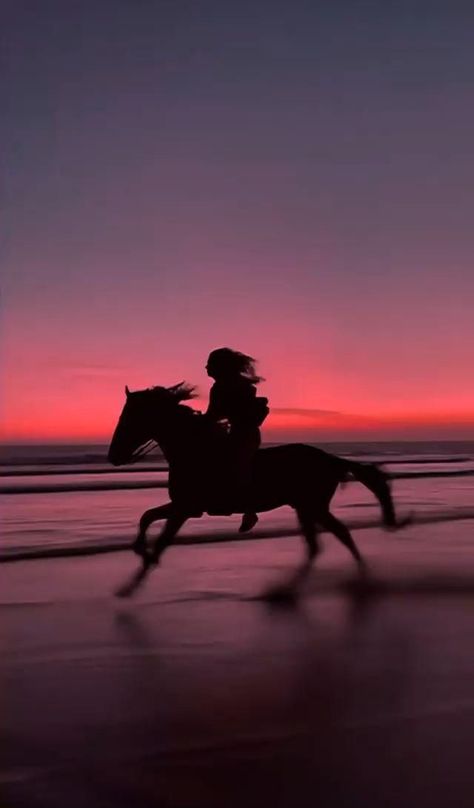 Horse Girl Aesthetic, Riding Aesthetic, Horse Riding Videos, Horse Background, Facts About Animals, Horse Riding Aesthetic, Fun Facts About Animals, Cute Horse Pictures, Horse Videos