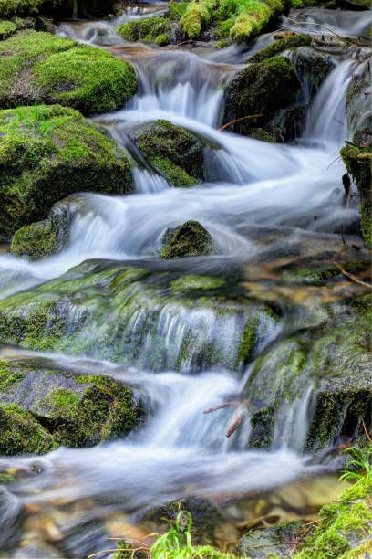 Babbling Brook, First Time, The First, Stock Photos, Illustrations, Water