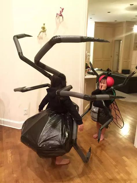 The Spider and the Fly (Halloween 2016) - Imgur Spider And Fly Costume, Spider King Costume, Kids Spider Costume Diy, Diy Spider Legs Costume, Black Widow Spider Costume Women, Spider And Web Costume, Spider Legs Costume, Spider Diy Costume, Black Widow Costume Spider