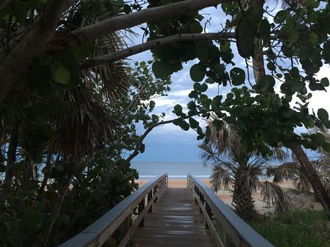 Immerse Yourself in Early Ormond Beach History Natures Path, Ormond Beach, Outdoor Picnic Tables, Beach Lifestyle, Outdoor Leisure, Road Trip Fun, Grave Marker, Living History, Outdoor Picnics