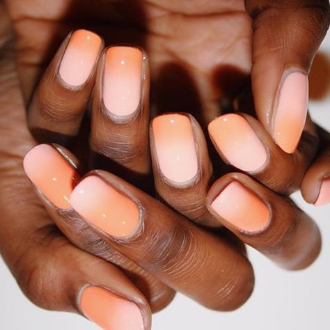 Imarninails (@imarninails) • Instagram photos and videos Banquet Nails, Honey Core, Orange Ombre Nails, Black Ombre Nails, Light Ombre, Red Ombre Nails, Blue Ombre Nails, Rose Gold Ombre, Peach Nails