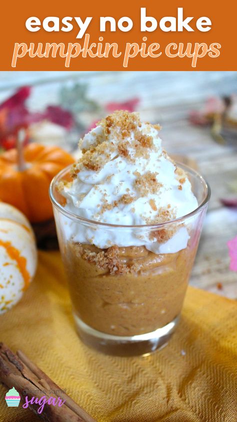 No Cook Pumpkin Dessert, Pumpkin Dessert For One, Pumpkin Shooter Desserts, Pumpkin Pie Pudding Cups, Pumpkin Pie Shooters Desserts, Easy Recipe With Pumpkin Puree, Pumpkin Pie Cups No Bake, Individual Pumpkin Pies In A Cup, Pumpkin Pie Shooters