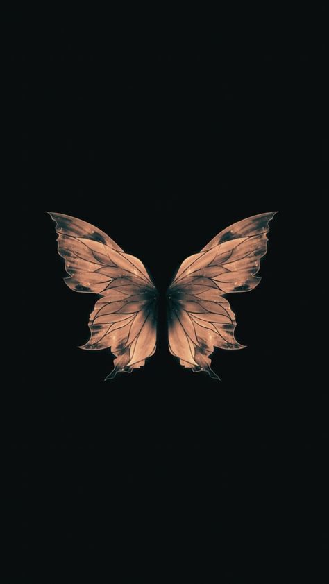 Kupu Kupu Wallpaper Aesthetic, Lock Screen Wallpaper Butterfly, Butterflies Wallpaper Aesthetic, Butterfly With Black Background, Trending Wallpapers Iphone, Wallpaper Whatsapp Backgrounds, Whatsapp Wallpaper Aesthetic, Dark Wallpapers Aesthetic Iphone, Butterfly Black Background