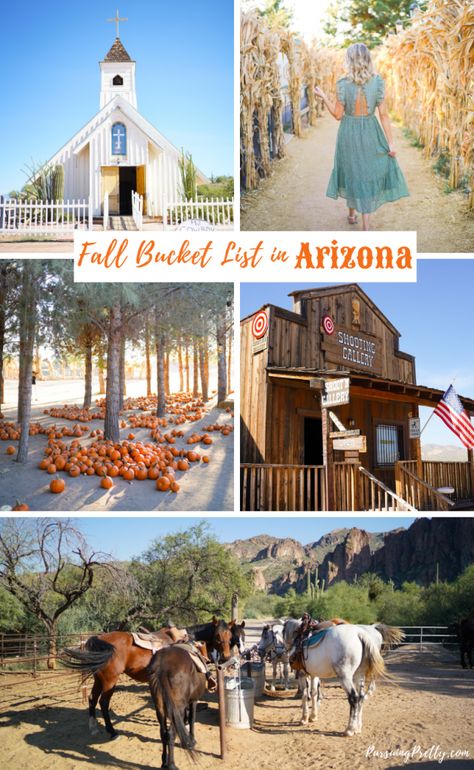 Halloween In Arizona, Things To Do In Arizona, Goldfield Ghost Town, Canadian Lifestyle, Arizona Vacation, Goat Yoga, Visit Arizona, Arizona Road Trip, Pumpkin Patches