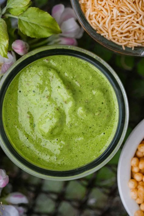 Dhaniya Pudina Chutney (Indian Cilantro Mint Sauce) - Cinnamon Snail Pudina Chutney, Khaman Dhokla, Peanut Chutney, Cilantro Chutney, Mint Chutney, Plant Based Yogurt, Cilantro Sauce, Mint Sauce, Chutney Recipes