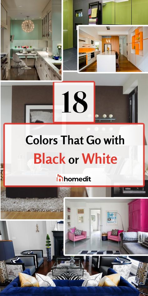 Black and white color combinations are timeless, elegant, and always in style. But what about when used separately? Black White Living Room With Color, Black And White With Pop Of Color, White Color Combinations, Behr Paint Colors Grey, Black And White Color Scheme, Wall Color Schemes, White Color Scheme, Black And White Furniture, Black Couches