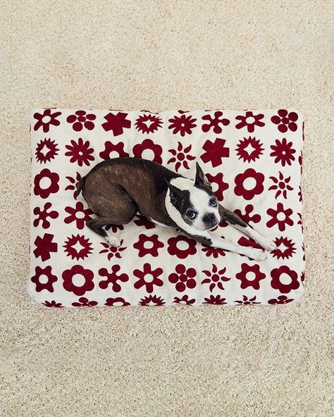 Dusen Dusen Dog Cooling Mat, Dusen Dusen, Embroidered Dog, Modern Pet, Striped Sheets, Modern Dog, Striped Towels, Towel Pattern, Dog Sweaters