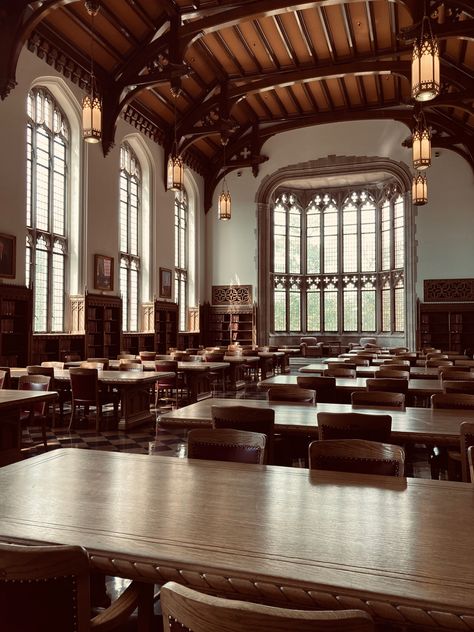 Fantasy Academy Aesthetic, Medieval School Aesthetic, Gothic Boarding School, Academia Aesthetic School, Victorian Boarding School Aesthetic, Classroom Private School, Dark University, Dark Academia Building Aesthetic, Classroom Aesthetic Dark Academia