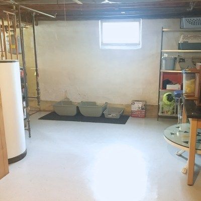 Basement floor update Uneven Basement Floor Ideas, Paint Basement Floor, Basement Flooring Waterproof, Basement Floor Ideas, Painting Basement Floors, Vct Tile, Basement Flooring Options, Floor Options, Rustic Basement