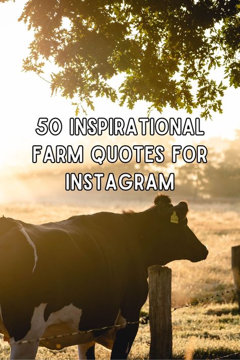 Discover inspirational farm quotes that encapsulate the essence of farm life, offering a meaningful layer to your Instagram posts. Add depth to your scenic landscapes and farm-related photos with these quotes. Country Living Quotes Life, Farm Captions Instagram, Homesteading Quotes, Cattle Quotes, Homestead Quotes, Country Sayings And Quotes, Farm Love Quotes, Ranch Quotes, Farm Life Quotes Inspiration