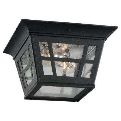 Herrington 2-Light Outdoor Black Hanging/Ceiling Pendant Fixture Wall Lanterns, Lantern Post, Sea Gull Lighting, Sea Gull, Outdoor Flush Mounts, Outdoor Ceiling, Pendant Fixture, Outdoor Light Fixtures, Outdoor Wall Lantern