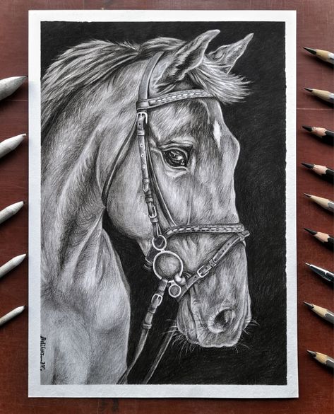 Hyper Realistic Horse Sketch, Realistic Horse Sketch, Horse Drawings Pencil, Horse Drawing Pencil, Easy Charcoal Drawings, Sketch Horse, Art Competition Ideas, Realistic Animal Drawings, Pencil Sketch Portrait