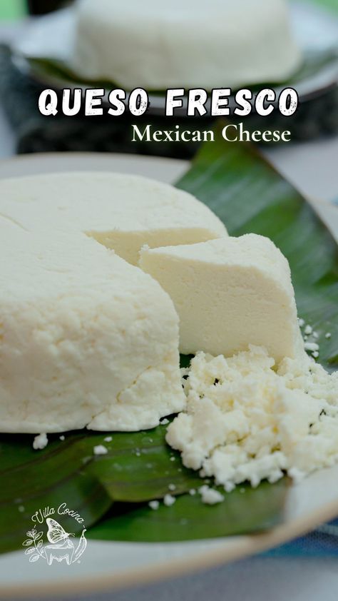 Villa Cocina | ⭐️ Queso Fresco Recipe: https://villacocina.com/queso-fresco/ Queso fresco is a Mexican semi-soft cheese made from cow’s milk, acclaimed... | Instagram Moes Queso Recipe, Queso Fresco Recipe, Fresco Cheese, Queso Recipe, Steam Recipes, Street Tacos, Soft Tacos, Mexican Cheese, Soft Cheese