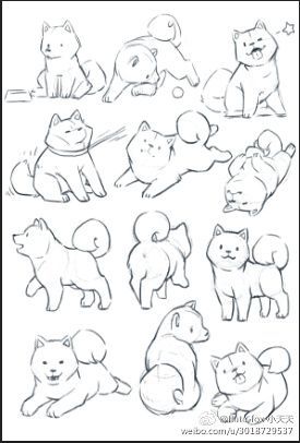 Chibi With Pet Pose, Shiba Drawing Cute, How To Draw Shiba Dog, Puppy Reference Drawing, Small Dog Drawing Reference, Pet Drawing Reference, Pet Sketch Drawings, Drawing Dog Tutorial, Chibi Dog Poses