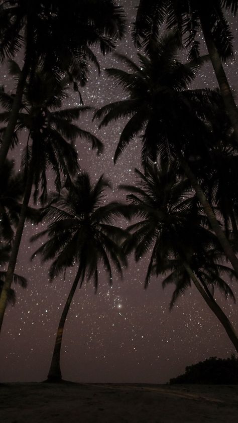 Palm Tree Sunset, Night Sky Wallpaper, Wallpaper Tumblr, Popular Wallpaper, Tumblr Wallpaper, Cool Backgrounds, Cute Wallpaper Backgrounds, Screen Wallpaper, Sky Aesthetic