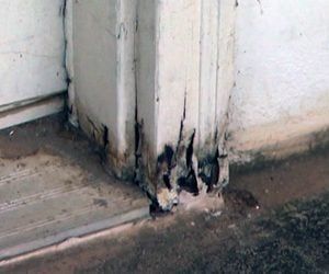 How to Repair Rotten Door Jambs and Brick Mold | Today's Homeowner Replace Exterior Door, Door Frame Repair, Rotten Wood, Garage Door Types, Cool Garages, Water Damage Repair, Wood Repair, Door Jamb, Brick Molding