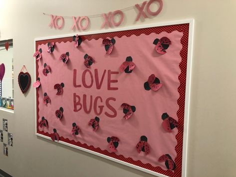 Infant Room Ideas, Valentines Board, Valentine Board, Valentine Bulletin Boards, Bug Wall, Holiday Bulletin Boards, School Door Decorations, Prek Classroom, Love Bug