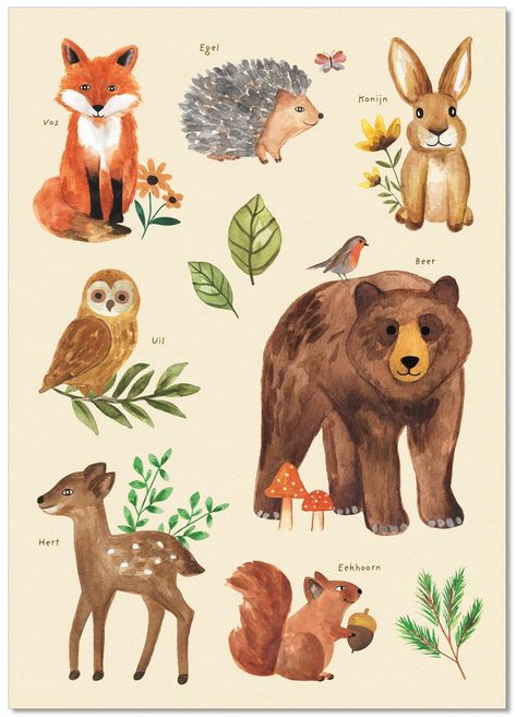 Autumn Animals Drawing, Woodland Animal Drawings, Woodland Animals Drawing, Animals Preschool Crafts, Wild Animals Illustration, Wallpaper Woodland, Forest Animals Illustration, Animals Preschool, Animal Illustration Kids