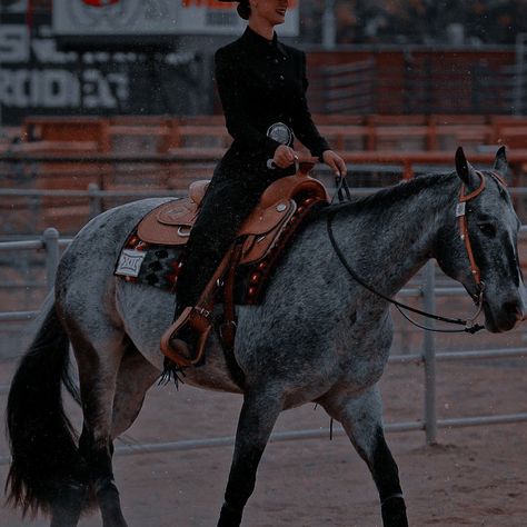 Western Pleasure Horse Photography, Western Pleasure Aesthetic, Aesthetic Horses, Dream Horse Barns, Barrel Racing Horses, Dream Horse, Western Pleasure, Appaloosa Horses, Western Aesthetic