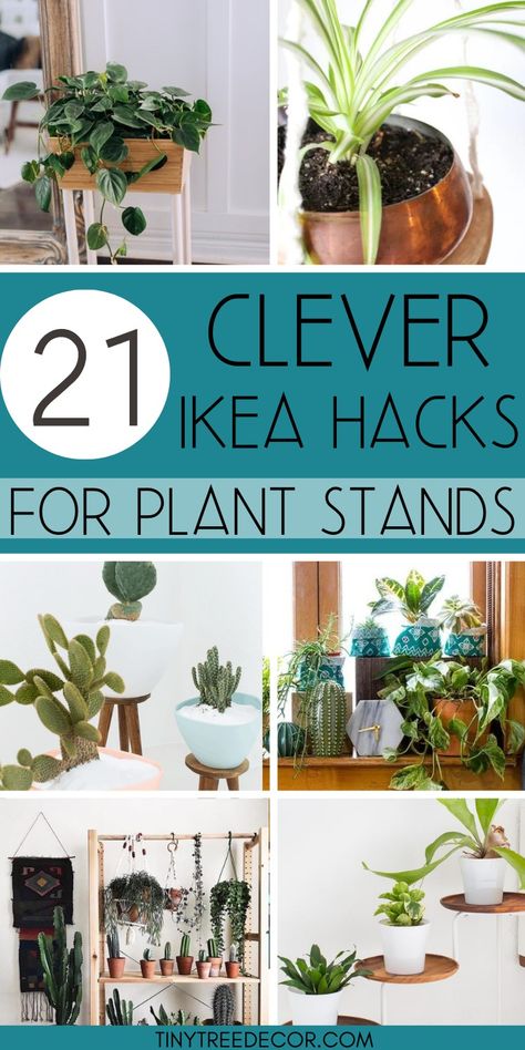 EASY IKEA PLANT STAND HACKS- need some ideas for your IKEA plants or plant stands? These hacks are for hanging baskets, planters, plant stands or houseplants! #ikeahacks Ikea Plant Stand, Ikea Planters, Standing Planters, Ikea Plant, Tall Plant Stand Indoor, Ikea Garden, Plant Holders Indoor, Ikea Plants, Plant Ladder