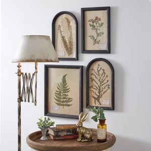 Handcrafted with meticulous attention to detail, our Pressed Botanical Wall Decor showcases the delicate beauty of real botanical specimens. Carefully selected leaves and stems are gently harvested at their peak, capturing their vivid colors and intricate textures. These botanical treasures are then meticulously pressed onto paper mâché and preserved, maintaining their natural form while enhancing their durability. To hang, use its two sawtooth hangers. Measurement: 15¾''W x 1''D x 19¾''H UPC: 801106224815 Botany Decor, Primitive Shower Curtains, Paneling Ideas, Lady Fern, Japanese Rose, Decorative Bowl Filler, Botanical Home Decor, Balloon Valance, Pressed Botanicals