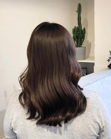 Mayday Mayday, Coffee Brown Hair, Coffee Hair, Color Depositing Shampoo, Color Safe Shampoo, Lighter Skin, Luxury Hair, Balayage Highlights, Hair Envy