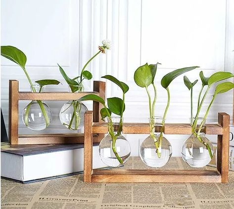 Show your fondness for plants with this Horizontal Style Hydroponic Plant Glass Vase with Wooden Legs. Best to place on your working table or shelves for a natural way of air filtering. Test Tube Planter, Propagation Tubes, Tube Planter, Glass Propagation, Colored Water, Propagation Station, Hydroponic Plants, Glass Planter, Heat Resistant Glass