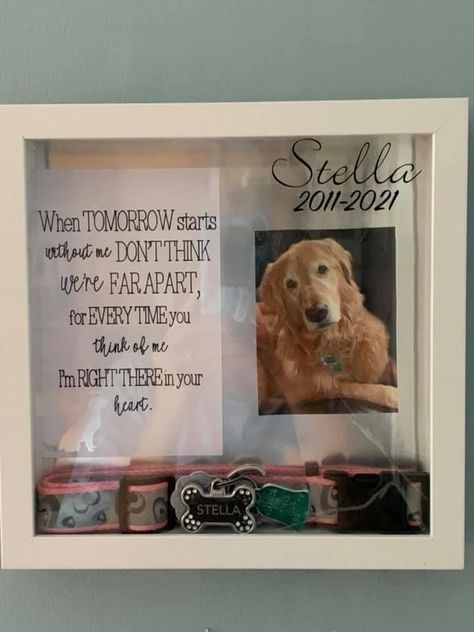 Memory Shadow Box For Dog, Diy Memorial For Dogs, Dog Memorial Collar Ideas, Shadow Box For Pets Memorial, Ideas To Remember Your Dog, Memory Box For Dog, Shadow Box For Lost Pet, Pet Hair Keepsake Ideas, Pet Remembrance Shadow Box Dog Memorial