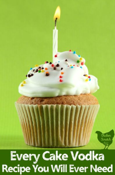 Cake Vodka Recipes, Birthday Cake Vodka, Vodka Cupcakes, Boozy Baking, Vodka Recipes Drinks, Cake Vodka, Boozy Cupcakes, Boozy Milkshake, Boozy Desserts