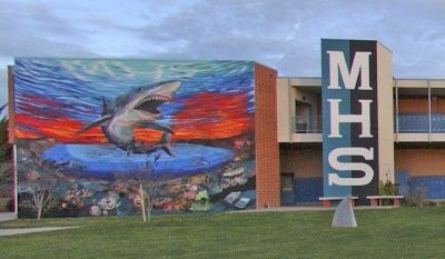 Malibu High School Malibu High School, Breathing Problems, Everything Is Connected, School Community, High School Teacher, Junior High, Chalk Art, Stirling, Starry Night