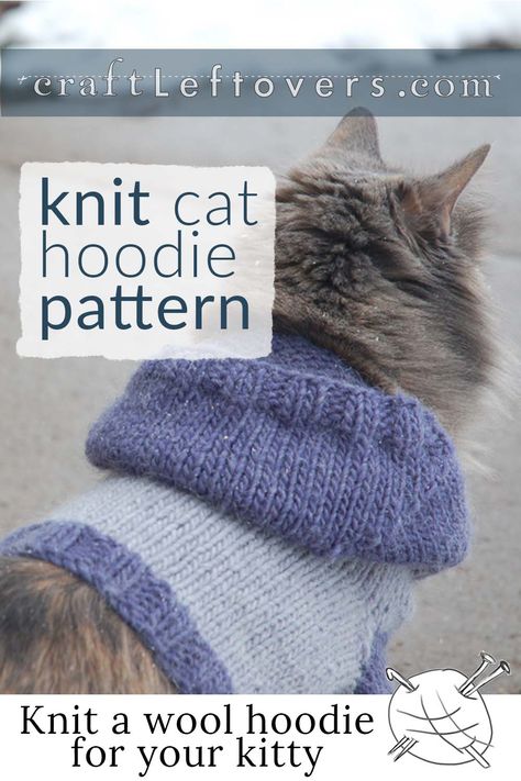 Cat Jumper Knitting Pattern Free, Cat Sweater Knitting Pattern Free, Kitten Sweater Pattern, Knitted Cat Sweater, Cat Sweater Knitting Pattern, Cat Sweater Pattern, All Free Knitting, Kitten Sweater, Knitting Crafts