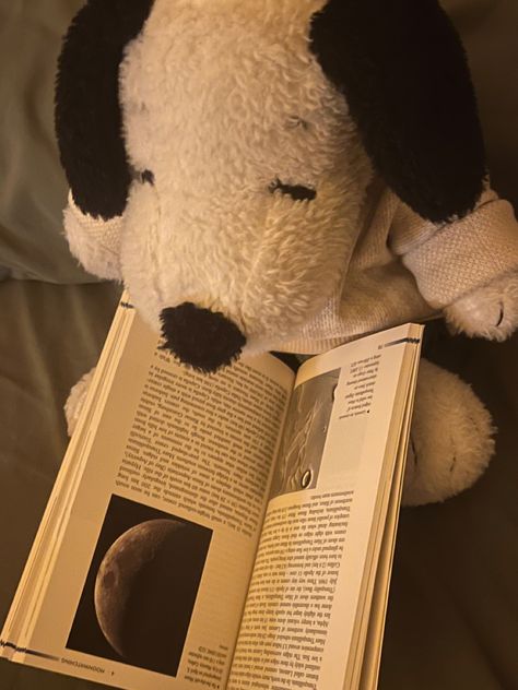 Comfort Plushie, Snoopy Listening To Music, Listening To Music Drawing, Snoopy Aesthetic, Terrence Loves You, Music Drawing, Snoopy Plush, Snoopy Pictures, Snoop Dog