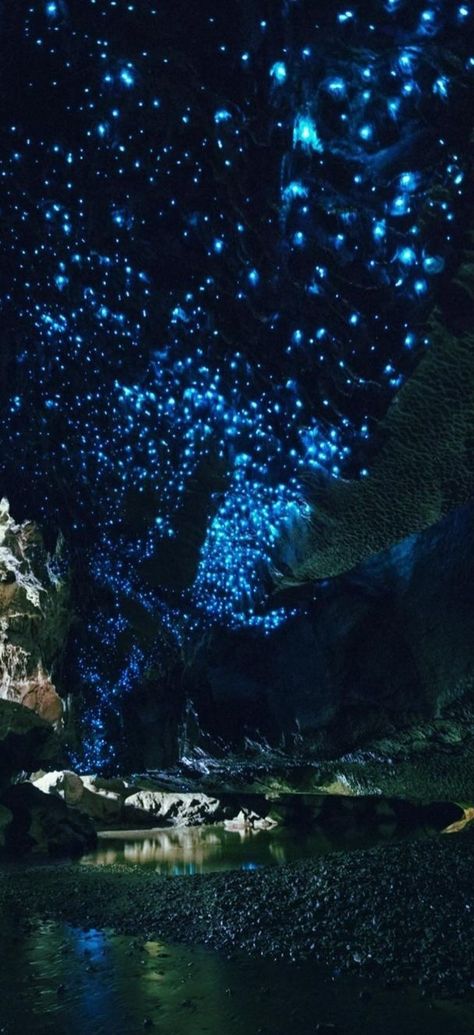 Waitomo Glowworm Caves, Nova Zelândia Waitomo Glowworm Caves, Glowworm Caves, Cave System, Glow In The Dark, The Darkest, Stars, Quick Saves