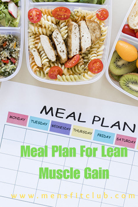 Illustration of a meal plan for lean muscle gain, featuring nutrient-rich foods like chicken breast, quinoa, eggs, leafy greens, and protein shakes. The graphic emphasizes balanced meals with a focus on high protein intake, complex carbs, and healthy fats to support muscle growth and recovery. Tips include portion control and meal timing to optimize results. Ideal for individuals looking to build lean muscle through a structured, nutritious meal plan. Lean Muscle Diet For Women Food, Muscle Gain Meal Plan For Women, Meal Plan For Muscle Gain, Lean Muscle Meal Plan, Muscle Gain For Women, Muscle Meals, Calorie Cycling, Muscle Gain Meal Plan, Muscle Gain Diet