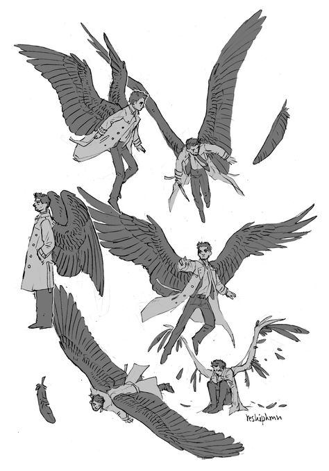 Drawing Pose Ideas, Castiel Wings, Wing Anatomy, Wings Sketch, Supernatural Castiel, Winged People, Winged Creatures, Wings Drawing, Wings Art