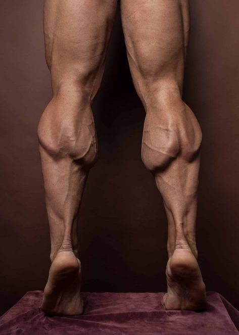 20 Inch Calves Bodybuilding New Vegas Legion, Feet Drawing Reference, Abbas Ibn Ali, Legs Reference, Veiny Arms, Leg Anatomy, Muscle Reference, Feet Drawing, Lower Body Fat