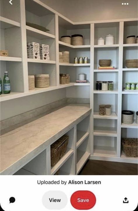 Butlers Pantry Shelving, Step In Pantry Design, Pantry Room Ideas Walk In, Skullery Butler Pantry, Pantry With Appliance Counter, Walk In Pantry With Countertop, Pantry Renovation, Pantry Closet Design, Pantry Layout