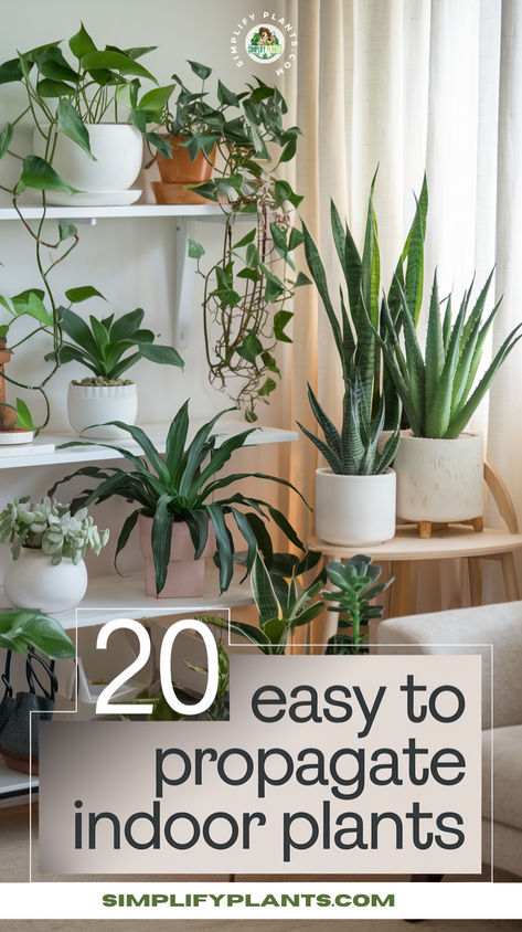 "Discover 20 easy to propagate indoor plants that will enhance your home! 
This comprehensive indoor plant propagation guide covers everything from 
propagating houseplants in water to soil methods. Learn essential plant 
propagation tips and explore various indoor plant propagation techniques 
perfect for beginners!" Plants Propagation In Water, Water Propagation Plants, Indoor Plant Propagation, Houseplants In Water, Propagation Tips, Houseplant Care, Plant Propagation, Plant Problems, House Plant Care