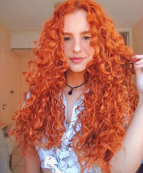 Ethan Euphoria, Extreme Hair Colors, Hair Color Flamboyage, Red Curly Hair, Red To Blonde, Colored Curly Hair, Top Hairstyles, Hairdos For Curly Hair, Red Hair Color