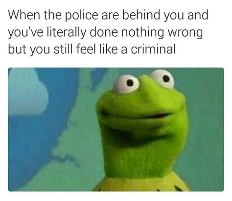 42 Great Pics And Memes to Improve Your Mood 9gag Funny, Crazy Funny Memes, Memes Humor, E Card, The Frog, Really Funny Memes, Funny Tweets, Funny Laugh, Best Memes