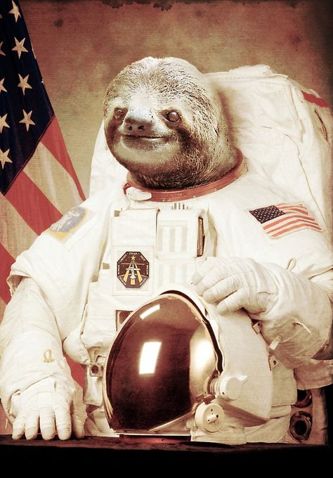 Astronaut Sloth by BakusPT Sloth Astronaut, Sloth, For Sale