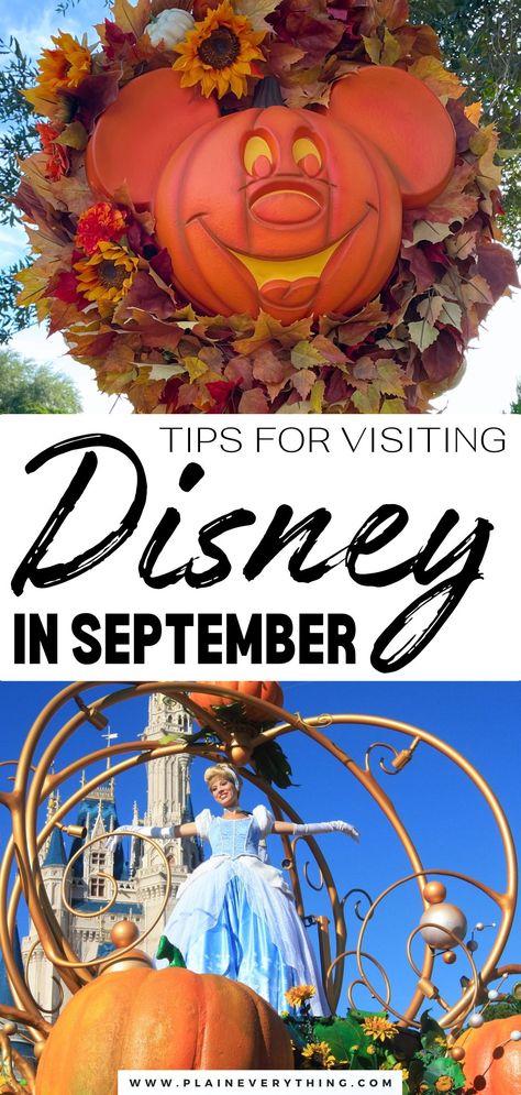 Disney in September Disney World In September, Disney Park Bag Essentials, Park Bag Essentials, Disney Park Bag, September Travel, Orlando Disney, Trip To Disney World, Epcot Food, Disney Vacation Planning