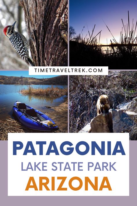 This pin image from Timetraveltrek.com is about Patagonia Lake State Park, Arizona. The four photos shown, from top left in a clockwise order are: a male ladder back woodpecker on a tree trunk, cattails silhouetted in lavender evening light, a brown and white coati (animal) on a rock, and a blue inflatable boat pulled up on the lakeshore. Double Kayak, Southern Arizona, Rv Adventure, Canoe And Kayak, Adventure Camping, Rv Travel, Rv Parks, Boat Tours, Picnic Area