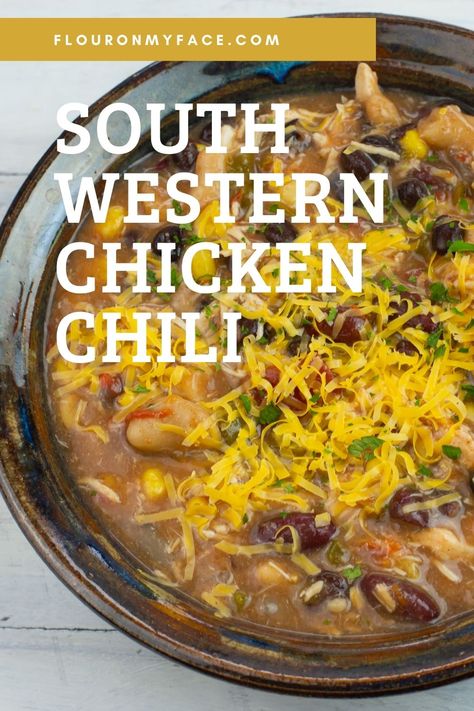 South Western Chicken Chili Recipe South Western Chicken, Southwestern Chicken, Chicken Chili Crockpot, Vegan Paleo Recipes, Chili Recipe Crockpot, Chili Ingredients, Types Of Beans, Crockpot Chili, Chicken Chili Recipe