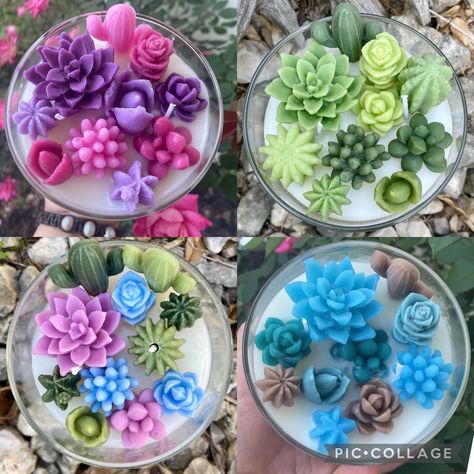 Succulents , Cactus , Echeveria Succulents , Candle Art Succulent Candles, Succulent Candle, Terrarium Candle, Cactus Candles, Succulents Candles, Velas Candles, Diy Candles Homemade, Fake Candles, Candle Crafts Diy