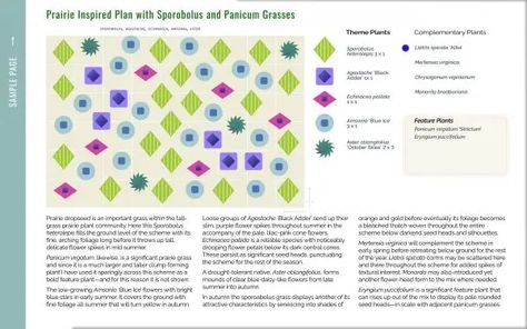 Example of a Perennial Planting Plan • Perennial Meadows Prairie Planting, Piet Oudolf, Growing Grass, Planting Plan, Flower Spike, Plant Lighting, Blue Daisy, Perennial Garden, Shades Of Orange