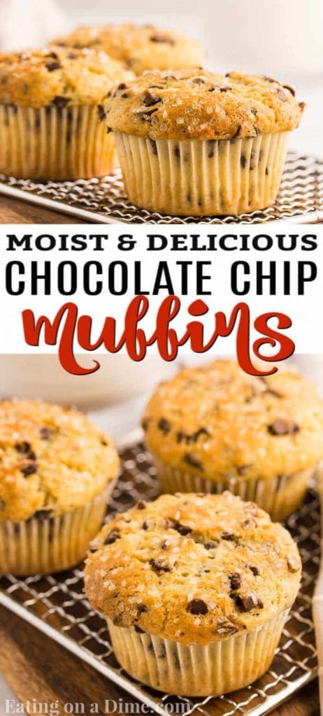 Moist Chocolate Chip Muffins, Homemade Chocolate Chip Muffins, Best Chocolate Chip Muffins, Chocolate Chip Muffins Easy, Oatmeal Chocolate Chip Muffins, Chocolate Chip Muffin, Eating On A Dime, Chocolate Chip Muffin Recipe, Easy Dessert Recipes Quick