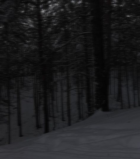 Grey Hour Snow, Gothic Snow Aesthetic, Snowy Dark Forest, Black Snow Aesthetic, Forest Snow Aesthetic, Tundra Aesthetic Dark, Arctic Aesthetic Dark, Cold Forest Aesthetic, Dark December Aesthetic