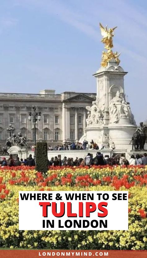 Looking for spring flowers after the April showers? Here's where to find tulips in London, which bloom through March, April, and May. London In Spring, London In April, London In March, Trip Photos, London Bucket List, London Vacation, Travel Guide London, London Trip, London Spring