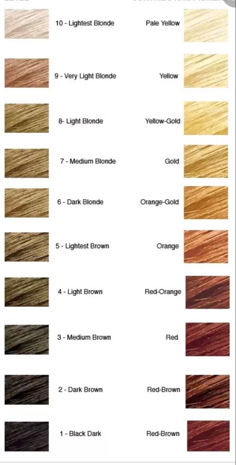 Hair Level Chart, Level 8 Hair Color, Level 8 Hair, Home Hair Coloring, Golden Hair Color, Hair Color 2017, Aveda Hair Color, Hair Chart, Golden Blonde Hair Color